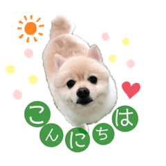 [LINEスタンプ] 虎太郎と仲間達