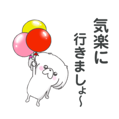 [LINEスタンプ] ペキニーズのライルさん【使える日常会話】