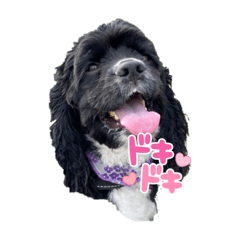 [LINEスタンプ] みんな大好きリントくん2