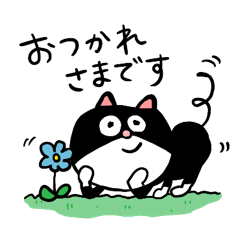 [LINEスタンプ] ハチワレネコの日常スタンプ