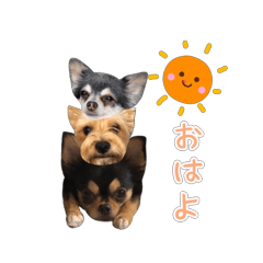 [LINEスタンプ] 動く！かわいい三姉妹犬スタンプ♪