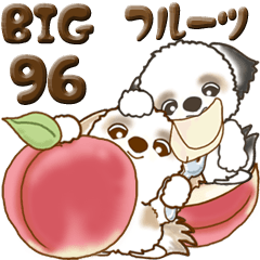 [LINEスタンプ] 【Big】シーズー犬 96『フルーツetc.』の画像（メイン）