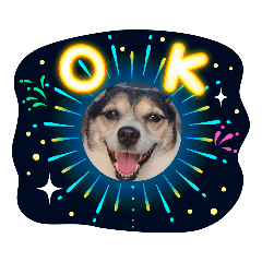 [LINEスタンプ] momo my dog ②