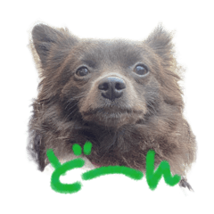 [LINEスタンプ] ポメビションのベル