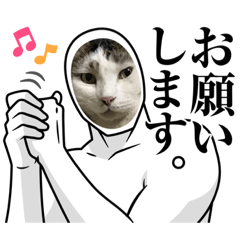 [LINEスタンプ] 猫のスタンプ追加バージョン