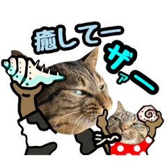 [LINEスタンプ] 猫(キジとトラ)日常で使えるスタンプ④