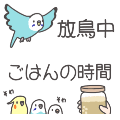 [LINEスタンプ] 鳥飼いさんのための省スペーススタンプ