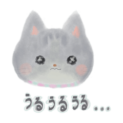 [LINEスタンプ] 銀色猫のにぼしちゃん（ゆるふわ編）