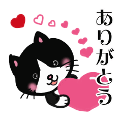 [LINEスタンプ] かわいい猫たちの動くスタンプ2