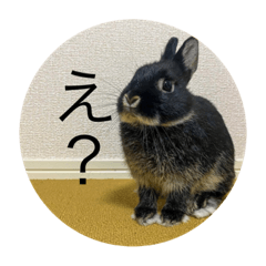 [LINEスタンプ] カヌレとぴーす