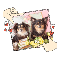 [LINEスタンプ] Kojiromaru＆Jubee5