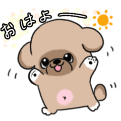 [LINEスタンプ] たぬき顔のペキニーズフォーンさん