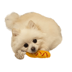 [LINEスタンプ] 4歳のべび