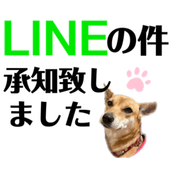 [LINEスタンプ] ずーきーときなちゃん(お仕事編)