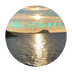 [LINEスタンプ] kinko 夏バージョン1