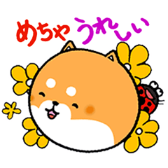 [LINEスタンプ] あおぞらわんことてんすけ