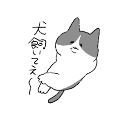 [LINEスタンプ] 愛くるしいねこ