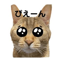 [LINEスタンプ] にゃんこラムちゃん❷