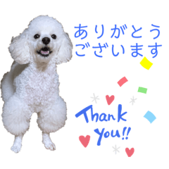 [LINEスタンプ] あさひなたのコミュニケーションスタンプ