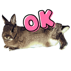 [LINEスタンプ] かわいくてえらいうさぎ