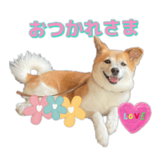 [LINEスタンプ] りんりんりんたん♡