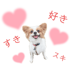 [LINEスタンプ] ちろっきーちょろあずの画像（メイン）