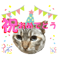 [LINEスタンプ] にゃんずふぁみりーの日常5