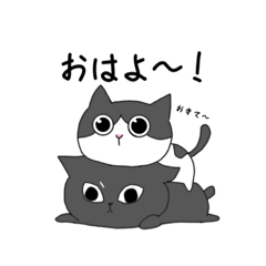 [LINEスタンプ] 大山家のねこたち