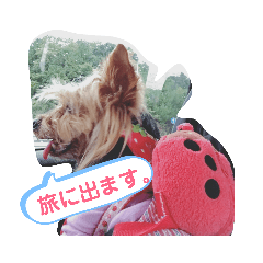 [LINEスタンプ] ヨークシャーテリアはるのスタンプ