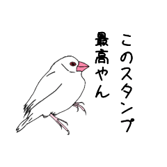 [LINEスタンプ] 文鳥の感情