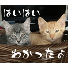 [LINEスタンプ] しょん＆めり