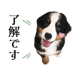 [LINEスタンプ] キッドくんの日常スタンプ