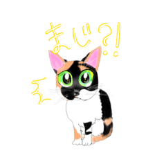 [LINEスタンプ] cat and dog001