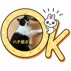 [LINEスタンプ] ハチ姐さんスタンプ