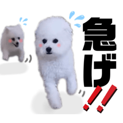 [LINEスタンプ] エマハルすたんぷ。