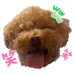 [LINEスタンプ] コタロースタンプ2