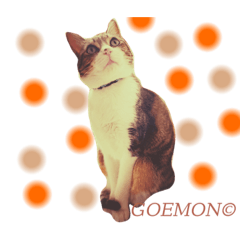 [LINEスタンプ] ごえもん日和17