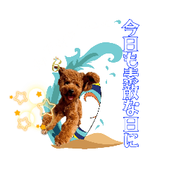 [LINEスタンプ] トイプーろっちゃん