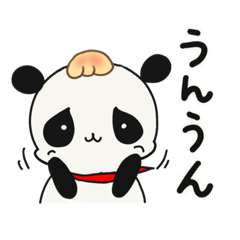 [LINEスタンプ] クリームパンダの毎日スタンプ