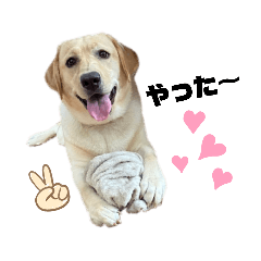 [LINEスタンプ] ラブラドール❤️るな❤️毎日使える