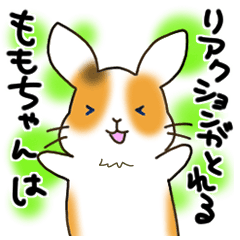 [LINEスタンプ] ももちゃんはリアクションがとれる