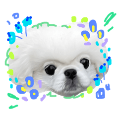 [LINEスタンプ] ぽてすたんぷ①