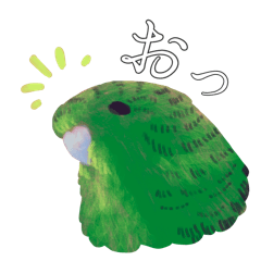 [LINEスタンプ] サザナミインコは考える