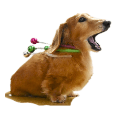 [LINEスタンプ] こちゃpart2
