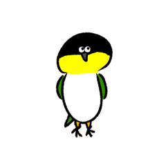 [LINEスタンプ] ズグロシロハラインコのズグロさん