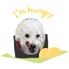 [LINEスタンプ] みみちゃんスタンプ。