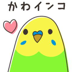 [LINEスタンプ] かわインコfrom鳥小屋