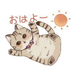 [LINEスタンプ] キジトラ猫のテオさんスタンプ