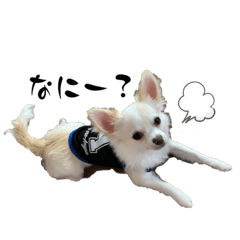[LINEスタンプ] クティスタンプ②