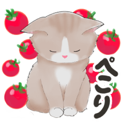 [LINEスタンプ] 毎日使える☆夏猫スタンプ